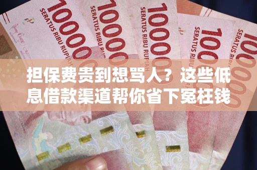 济南担保费贵到想骂人？这些低息借款渠道帮你省下冤枉钱