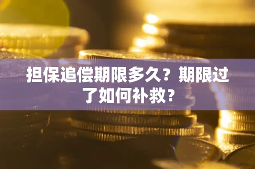 济南担保追偿期限多久？期限过了如何补救？